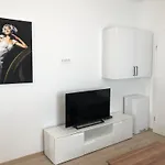 Sasha Apartment Medulin