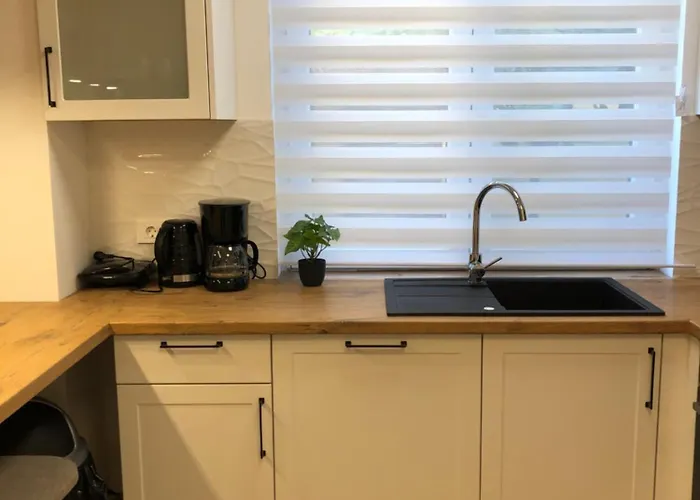 Apartament Sasha *