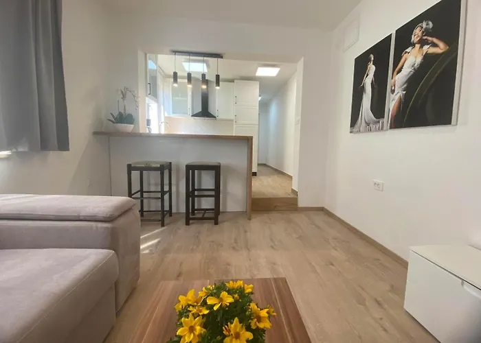 Apartament Sasha *
