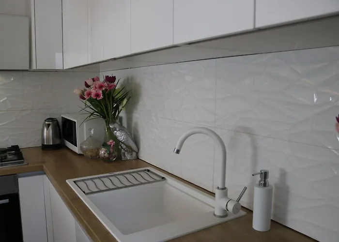 Sasha Apartament Medulin