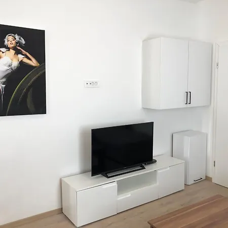 Sasha Apartment Medulin